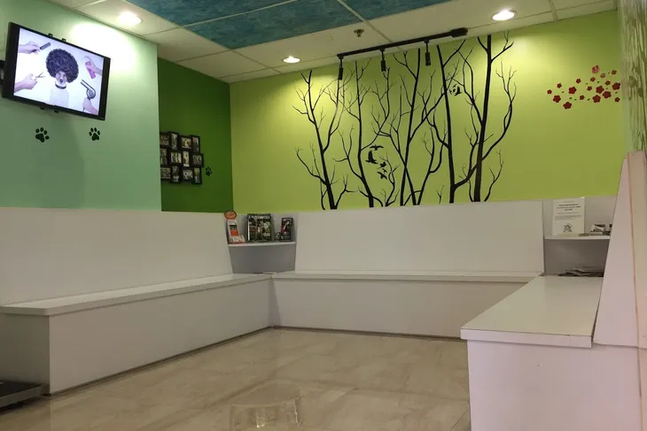 Kendall Drive Animal Hospital