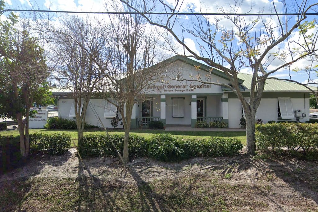 Animal General Hospital
