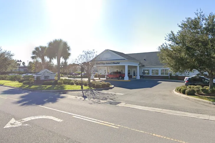 Buffalo Ridge Animal Hospital