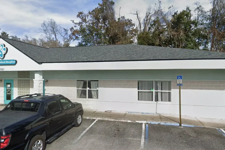 Green Cove Animal Hospital