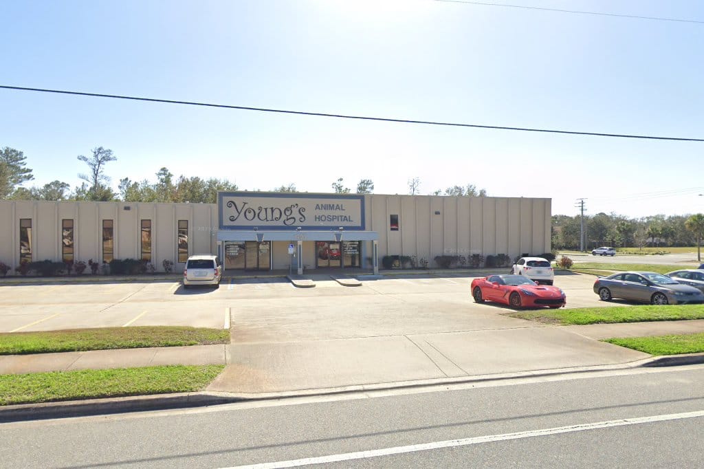 Young's Animal Hospital