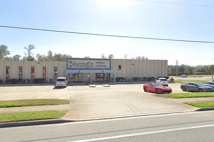 Young's Animal Hospital