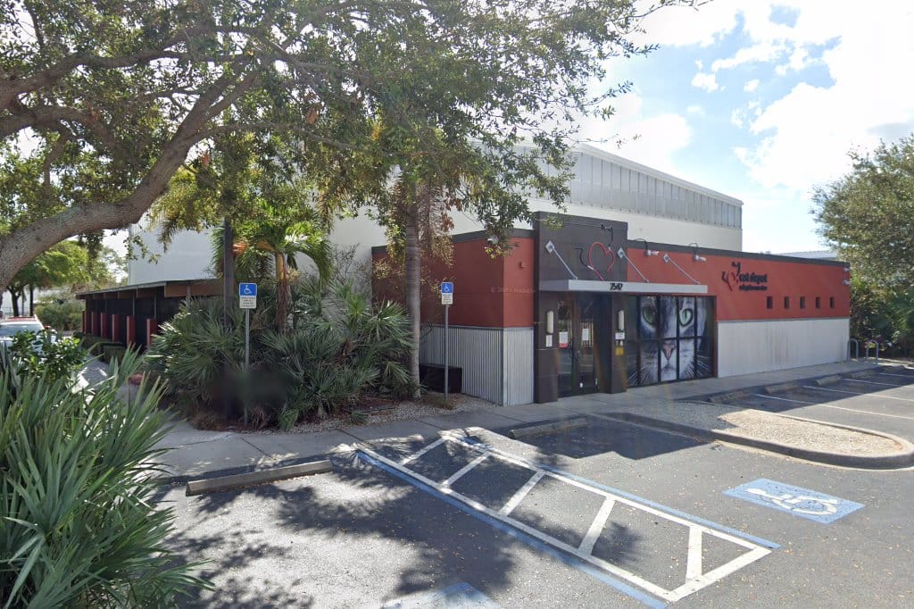 Cat Depot