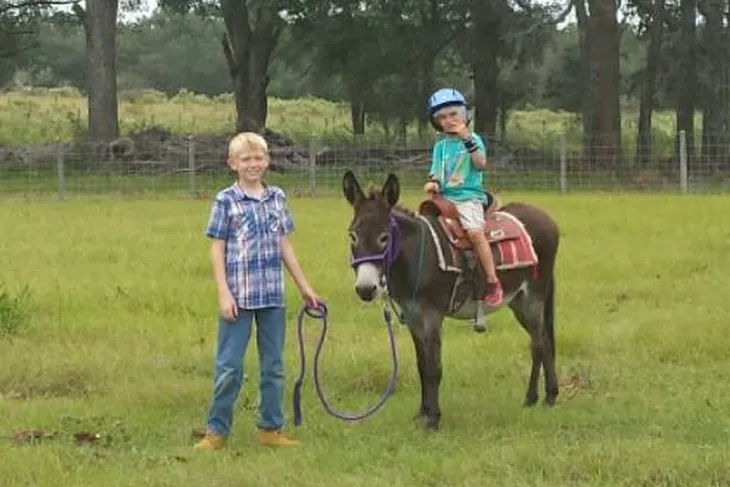 Divine Equine Rescue and Therapy Inc.