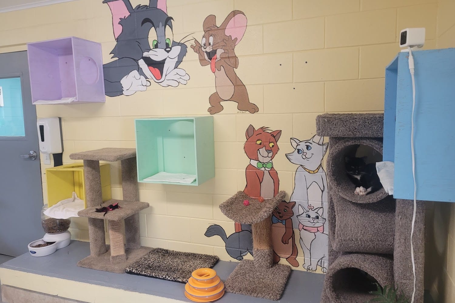 West Volusia Humane Society