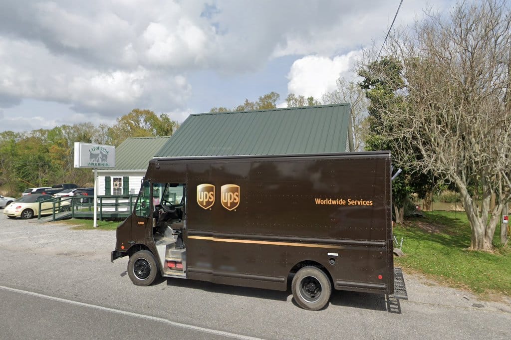 Lafourche Animal Hospital