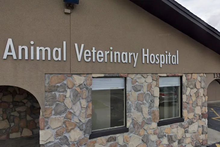 Animal Veterinary Hospital of Orlando
