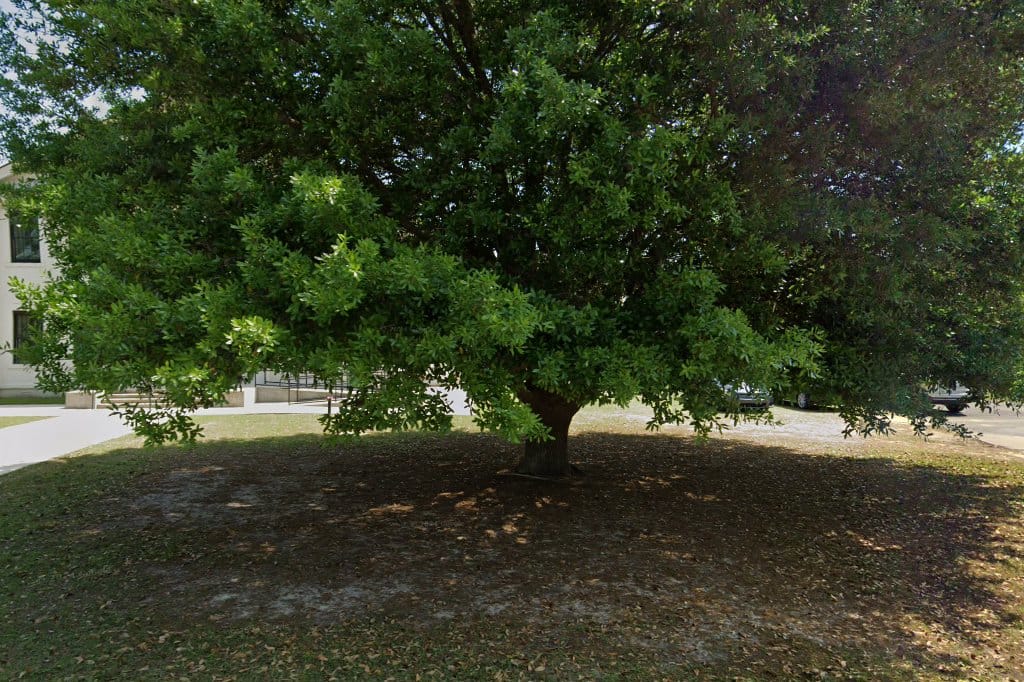 Southside Elementary School