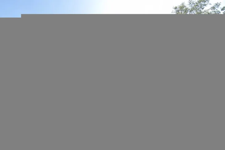 Gainesville Animal Hospital