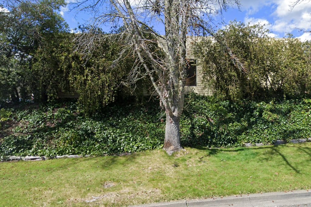 Angwin Passport Office