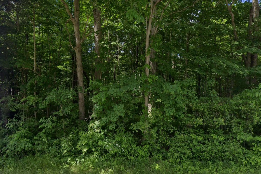 Jackson Township Amish School