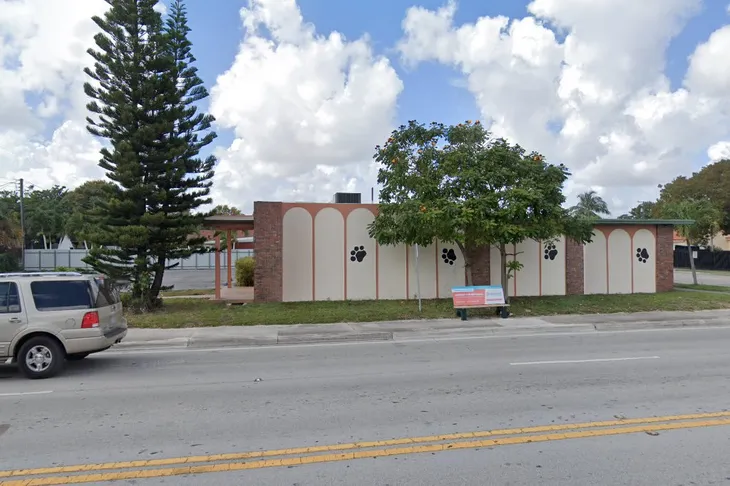 Junglelife Animal Hospital
