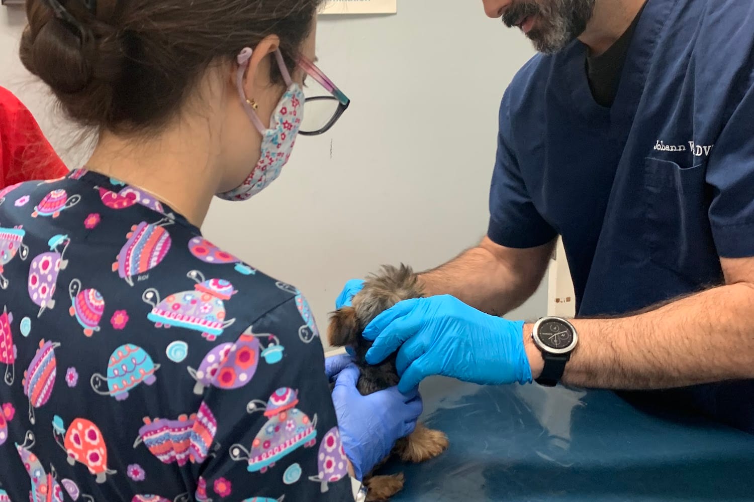 Bustillo Animal Hospital
