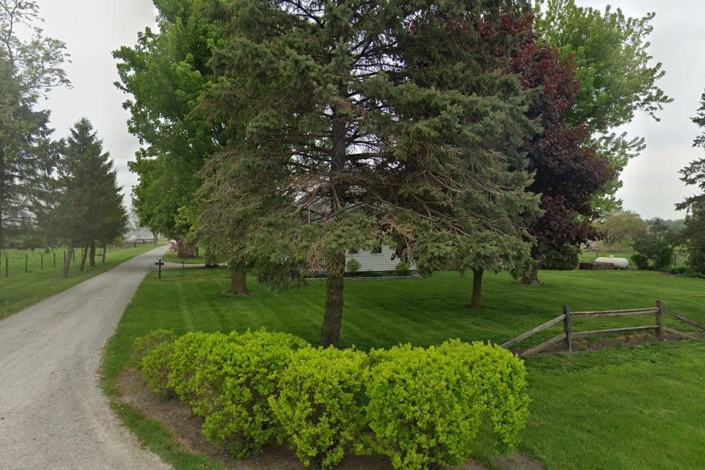 Country View School