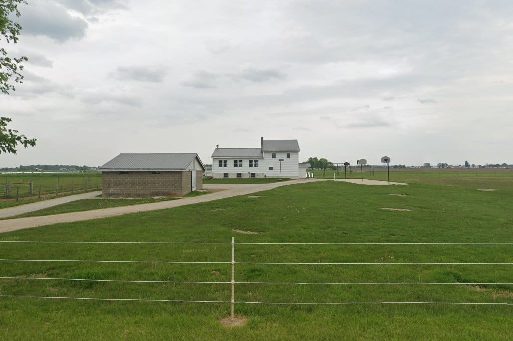Meadow View School