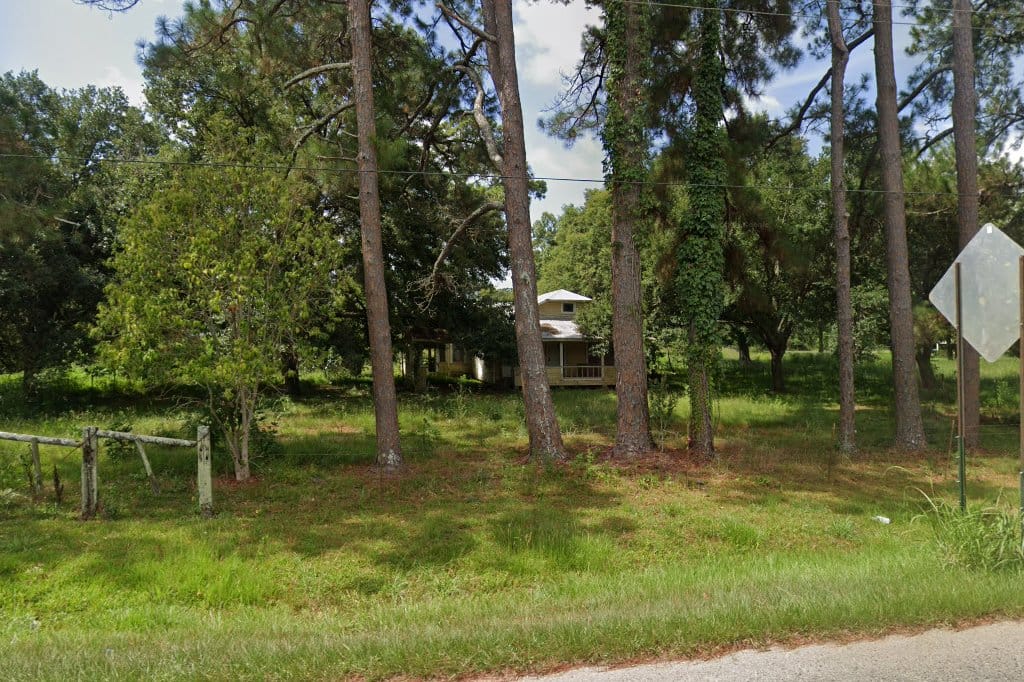 Palmetto Mayor's Court