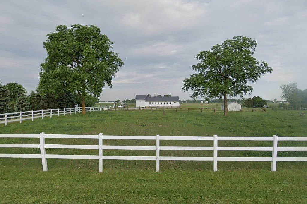 Meadow Lane School