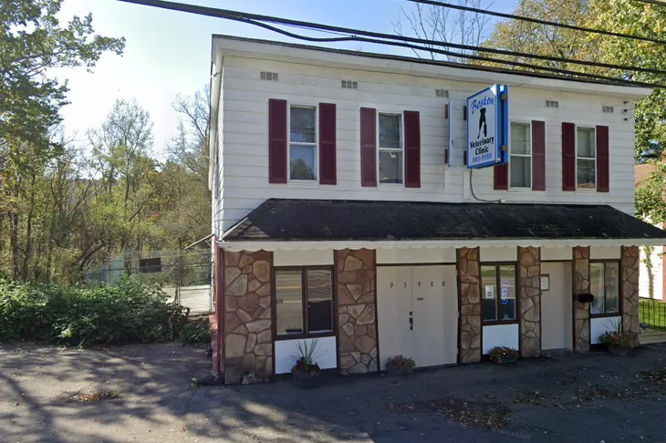 Boston Veterinary Hospital