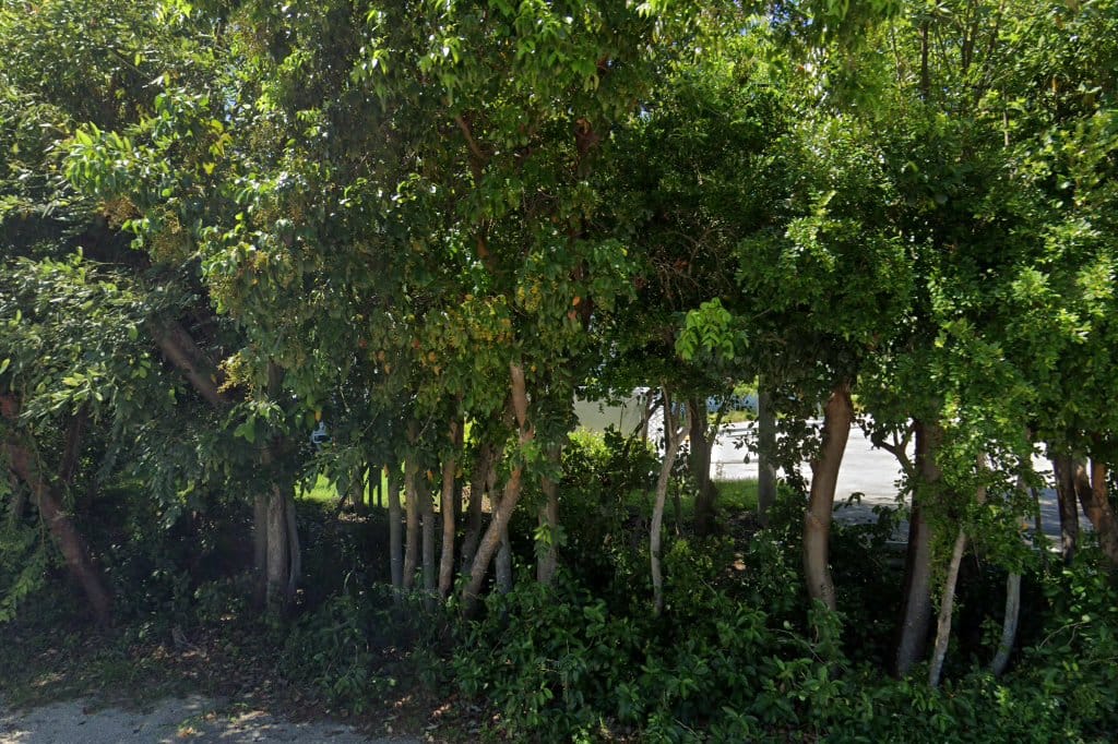 Plantation Key County Court