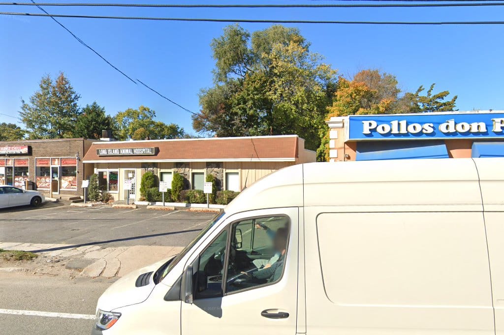 Long Island Animal Hospital