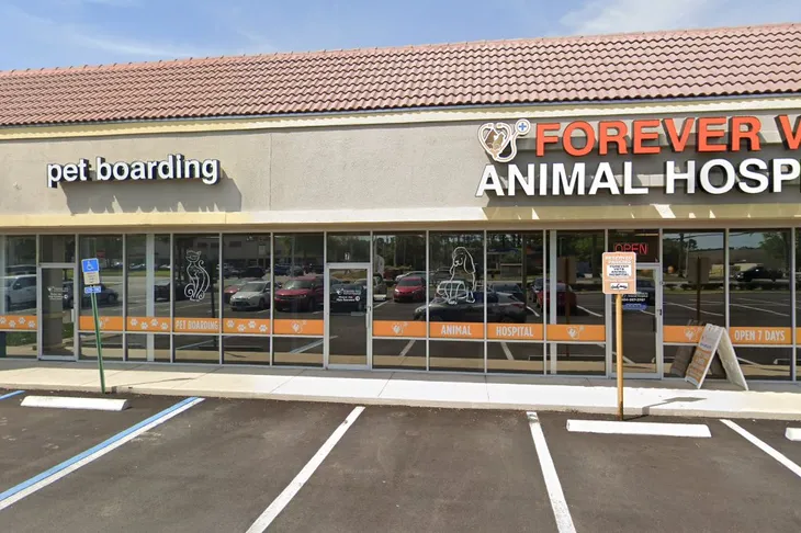 Emergency & Critical Care Pet Hospital
