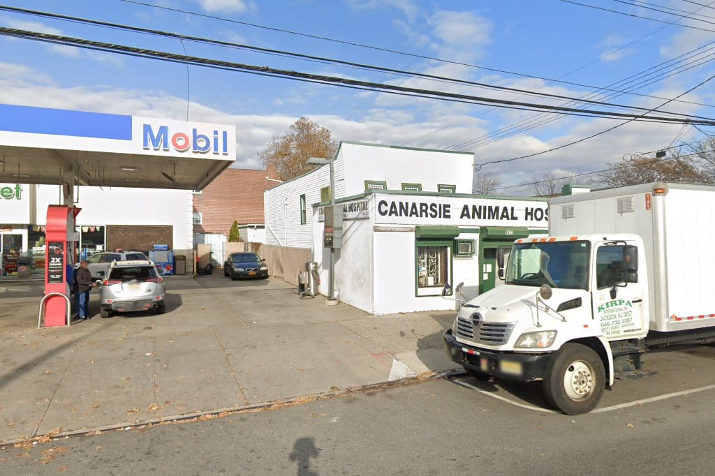 Canarsie Animal Hospital
