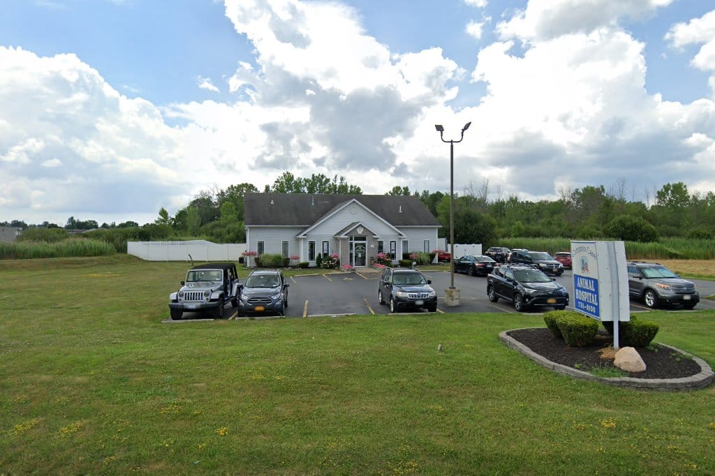 Companion Care Animal Hospital
