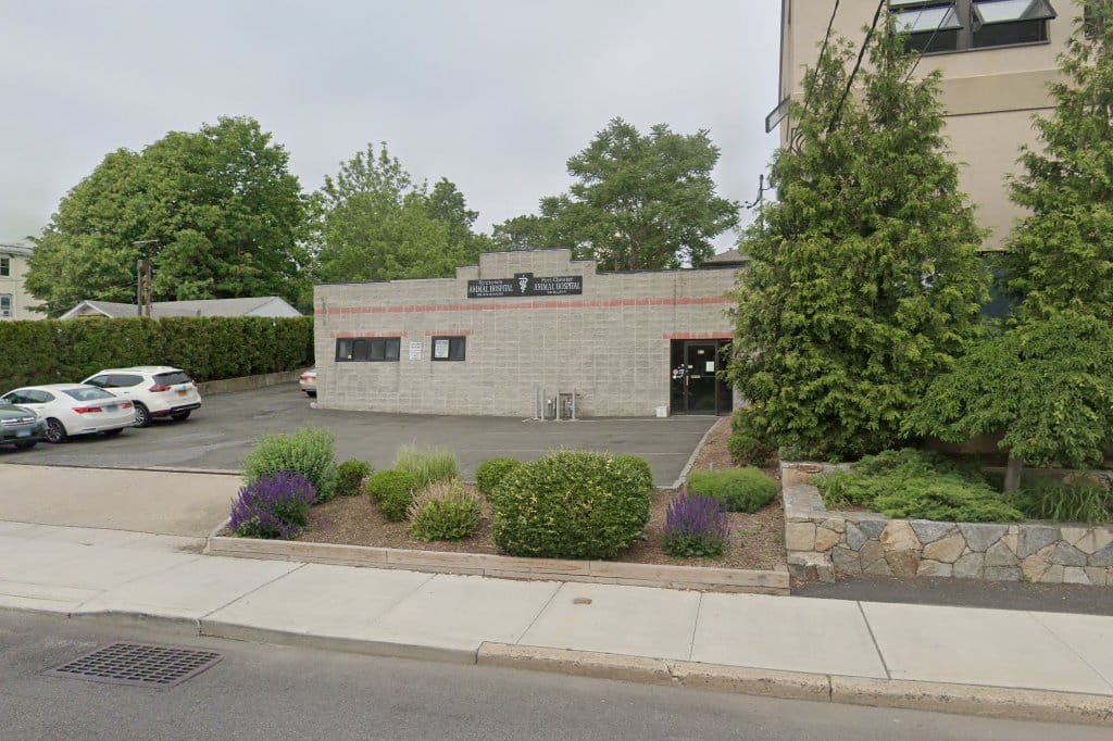 Port Chester Animal Hospital