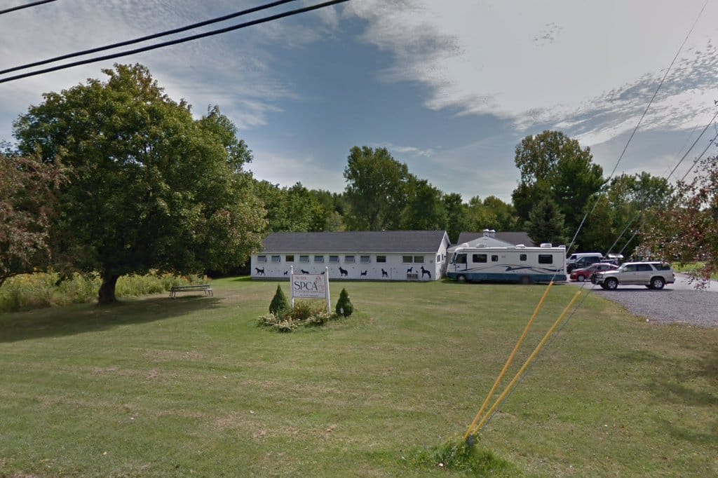 Animal Shelter in Jefferson County, NY The County Office