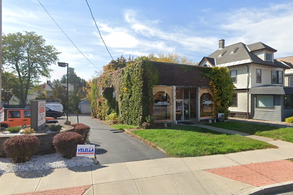 Union Street Veterinary Hospital