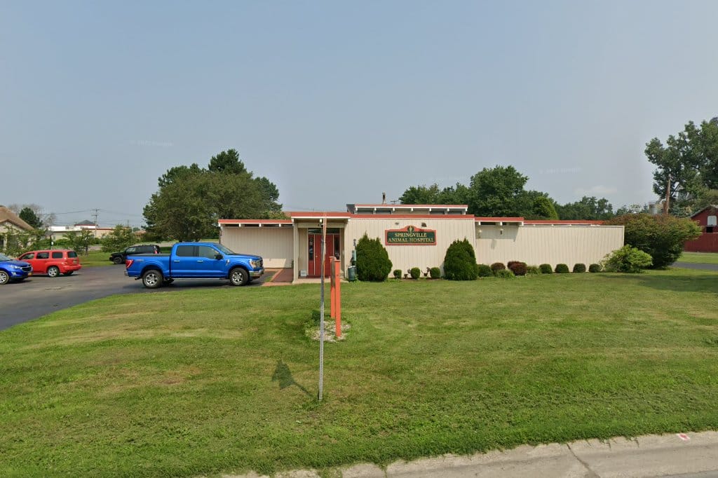Springville Animal Hospital
