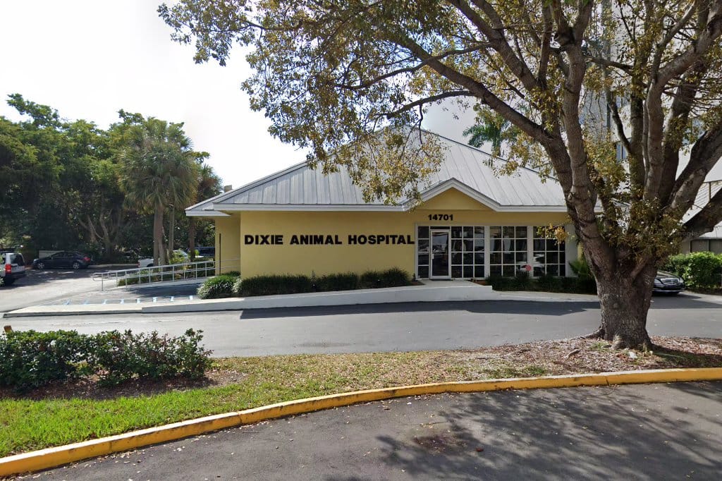 Dixie Animal Hospital