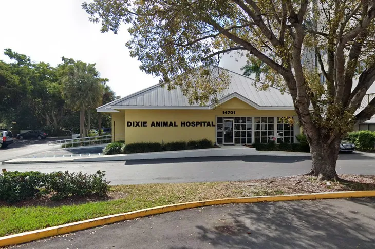Dixie Animal Hospital