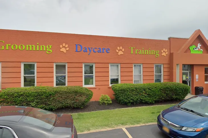 Tonawanda Animal Control