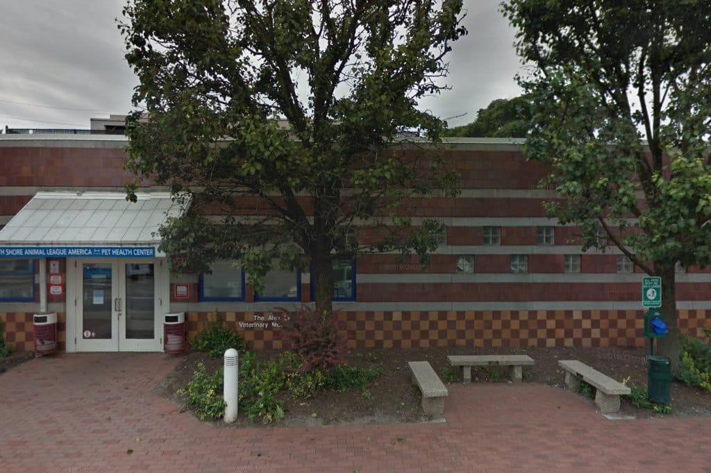 Port Washington Animal Control