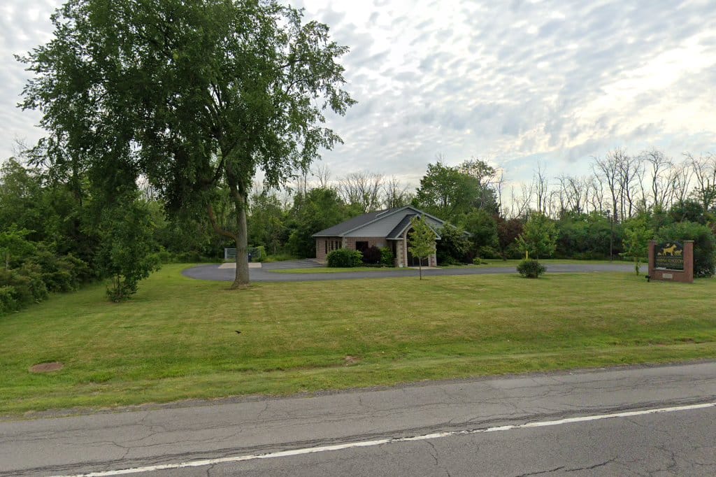 Animal Kingdom Veterinary Hospital