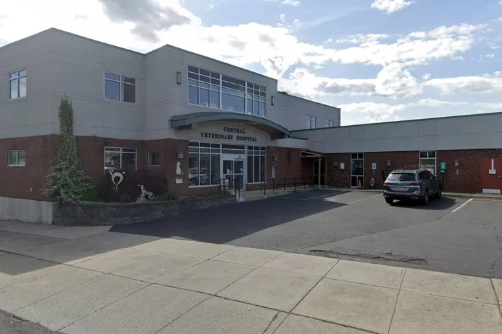 Central Veterinary Hospital
