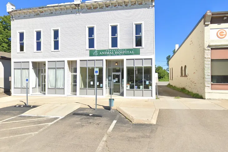 Forestville Animal Hospital