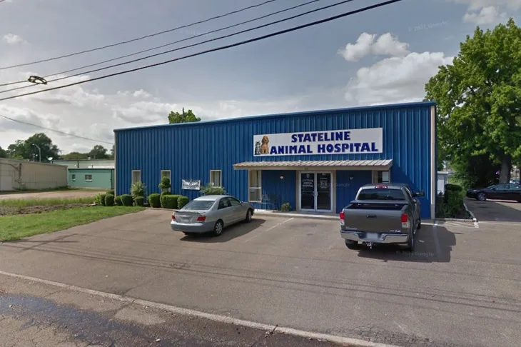 Stateline Animal Hospital