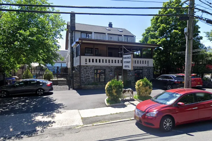 Mamaroneck Veterinary Hospital
