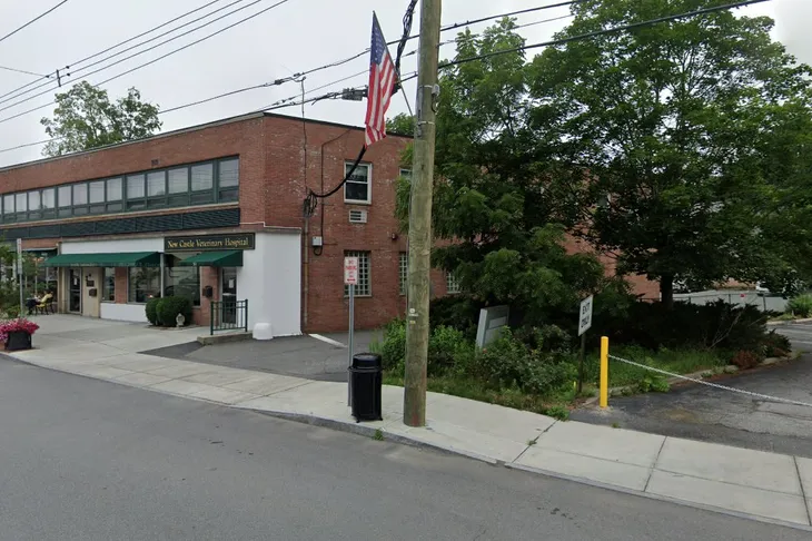 New Castle Veterinary Hospital