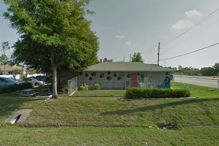 Animal Hospital of West Port St Lucie