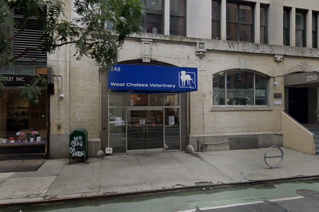 West Chelsea Veterinary