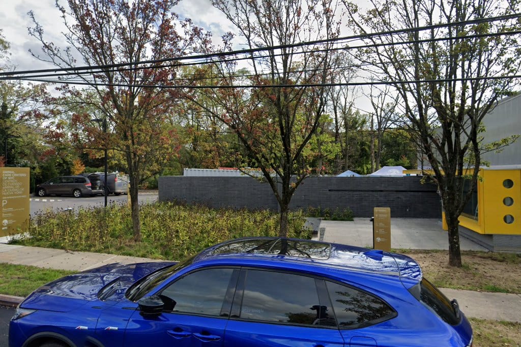 Staten Island Animal Control