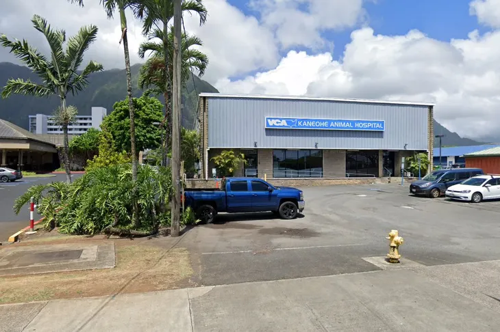 VCA Kaneohe Animal Hospital