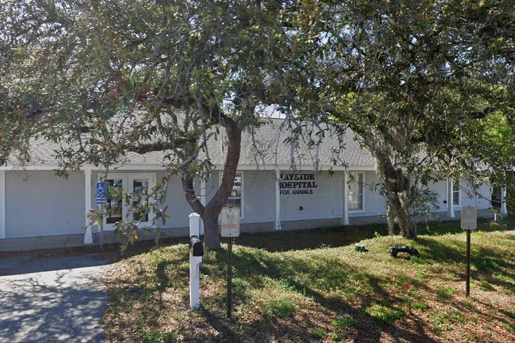 Bayside Hospital For Animals