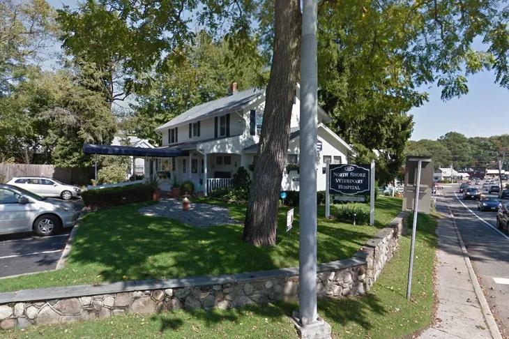 North Shore Veterinary Hospital