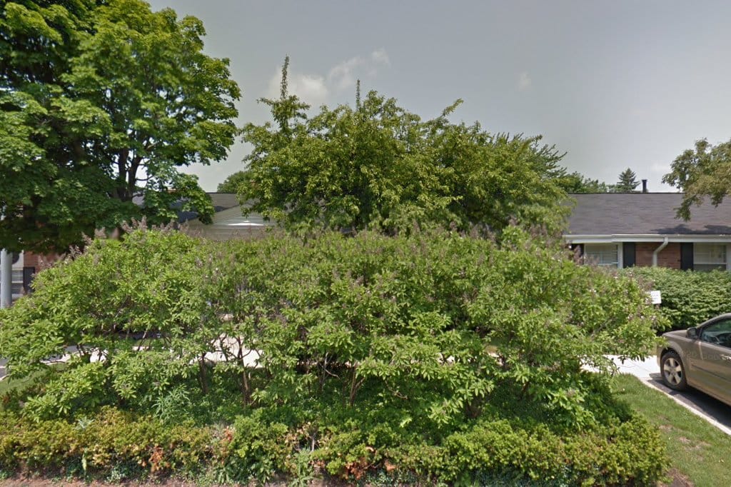 Green House Montessori School