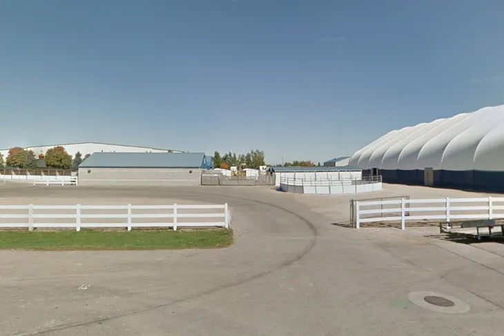 Idaho Equine Hospital