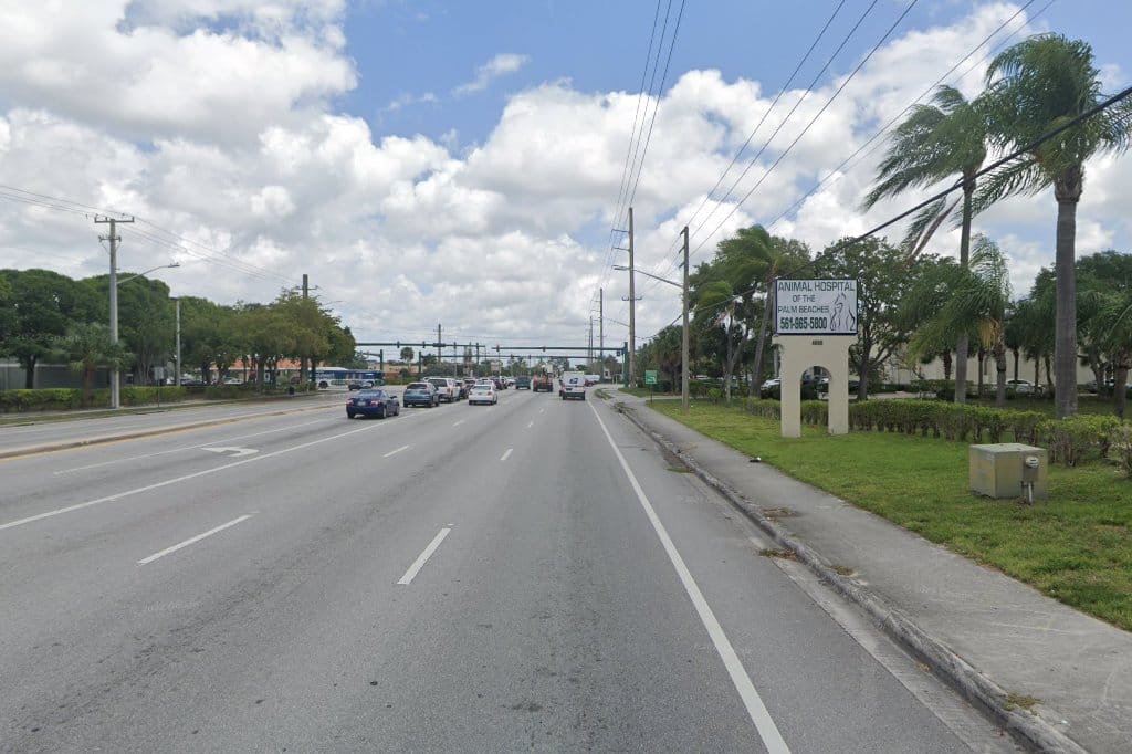 Animal Hospital of the Palm Beaches